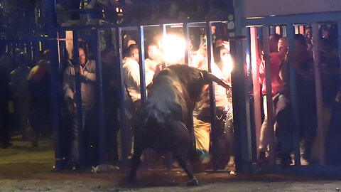 2025 10 18 ONDA FIRA D'ONDA