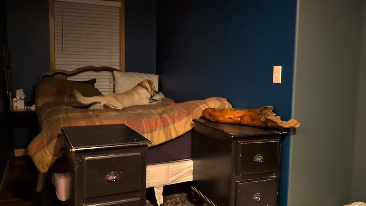 They Love Each Other