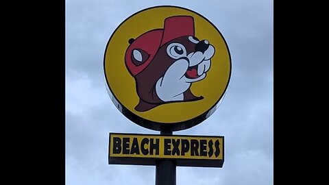 PULLED PORK REVIEW at Bucee's Beach Express, Alabama