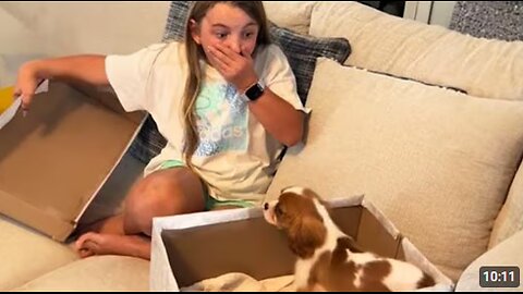 New Puppy Surprise Brings Tears of Joy ❤️ Funny Dog and Human Videos