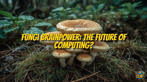 Fungi-Powered Computing: Mycelium Networks as Living Processors