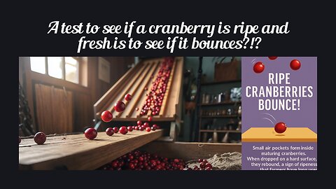 Fun Fact for Nov 4th 2025 Pt 1