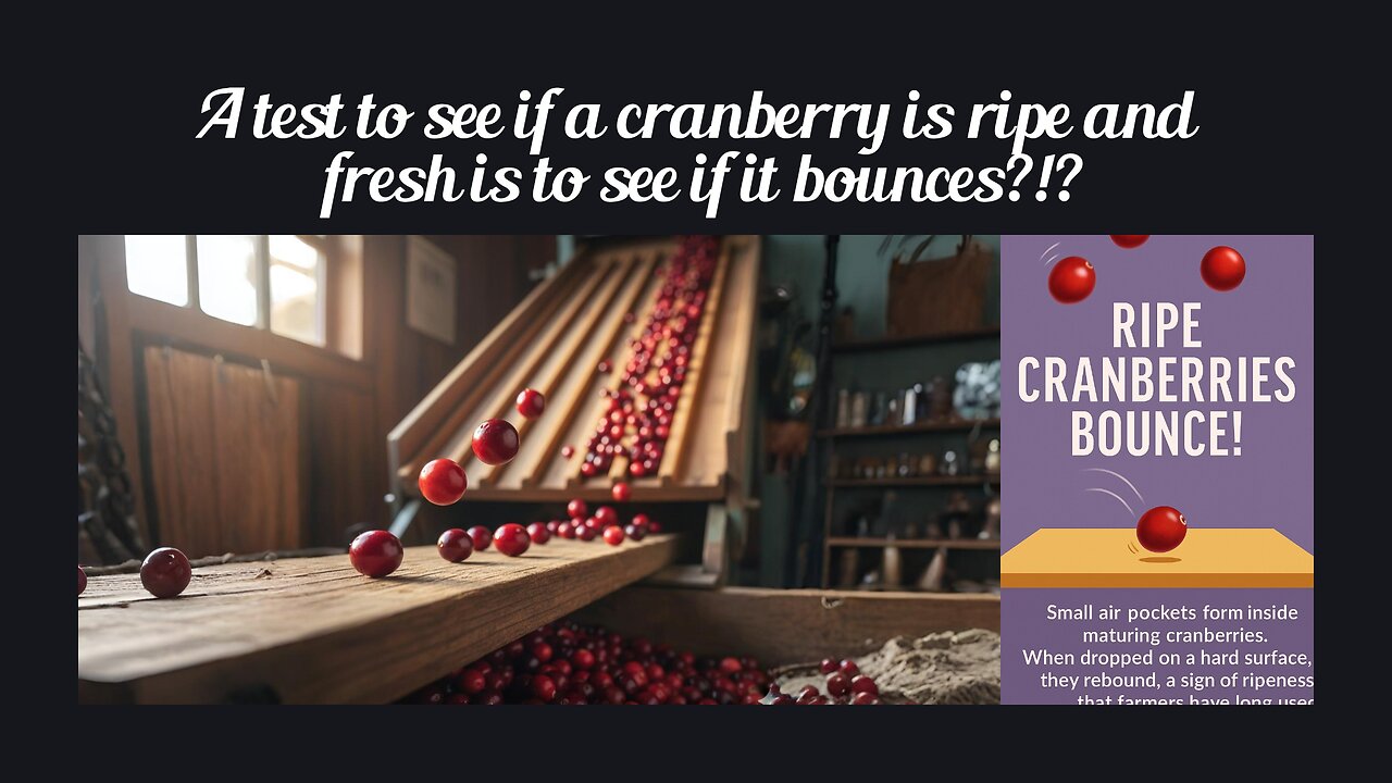 Fun Fact for Nov 4th 2025 Pt 1