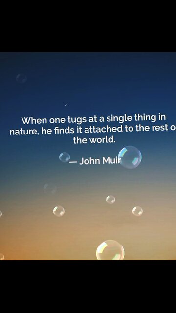 Your Qoute For A Day 266