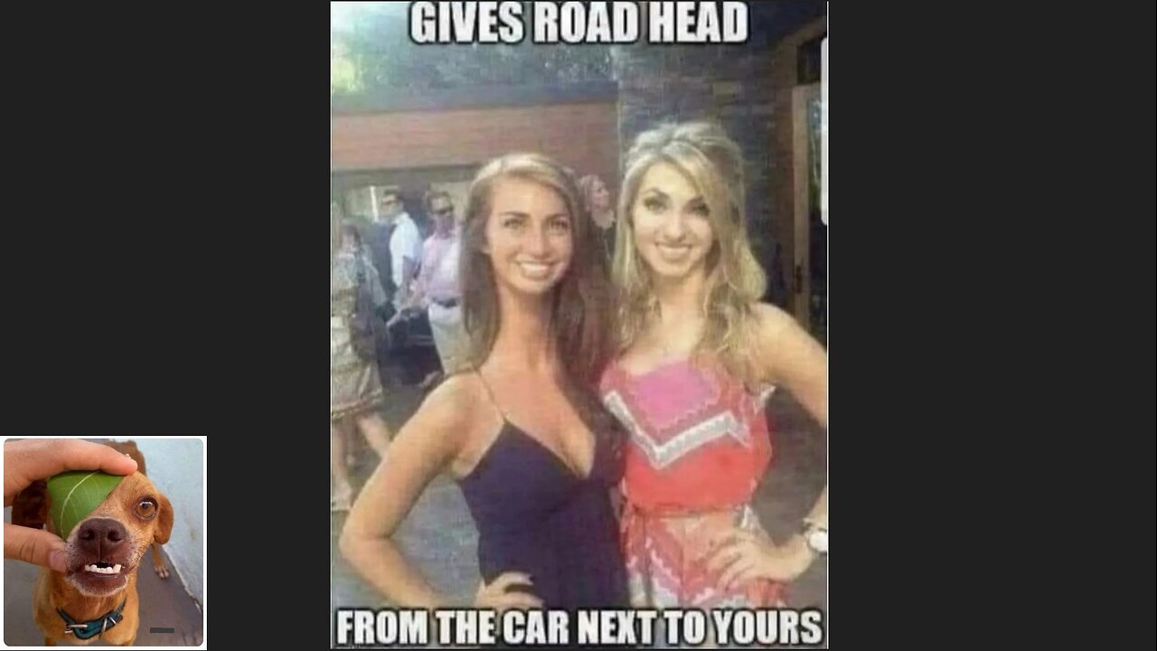 Memes That Will 99.0414% Make You Laugh. (e638)