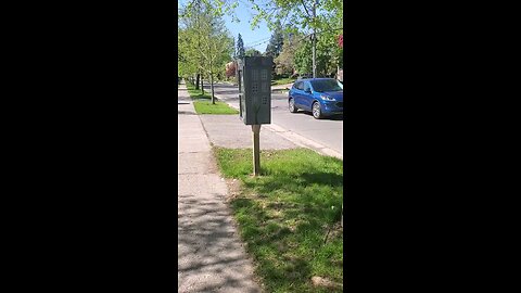 Back At It At The Garden Free Mini Library