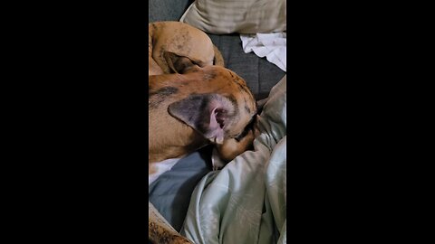 Only YOU can chase your dreams!