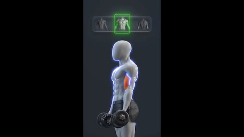 Dumbbell Only Workout Exercises For Upper Body Fitness