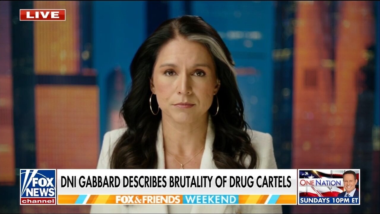 DNI Gabbard Describes The Savagery Of Cartels