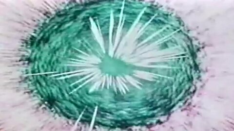 Supernova ~ Bruce Haack