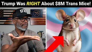 Kimmel Says Trump LIED About $8M Spent On Trans Mice! BUT...