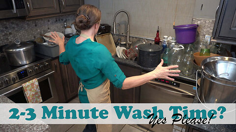 What if I had a Restaurant Dishwasher at Home?