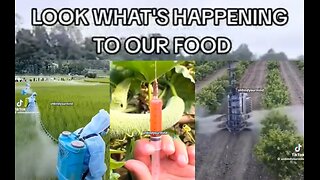 🚨💨⚡️ Why do they Poison our food❓ ▪️ To chain minds & spirits & to profit from Sickcare Industry. It's the Satanic slow kill.