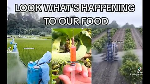 🚨💨⚡️ Why do they Poison our food❓ ▪️ To chain minds & spirits & to profit from Sickcare Industry. It's the Satanic slow kill.