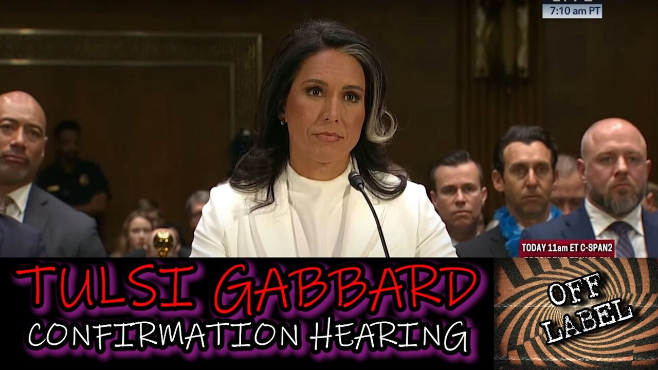 Tulsi Gabbbard Confirmation Hearing! LET'S GOOOOOO!