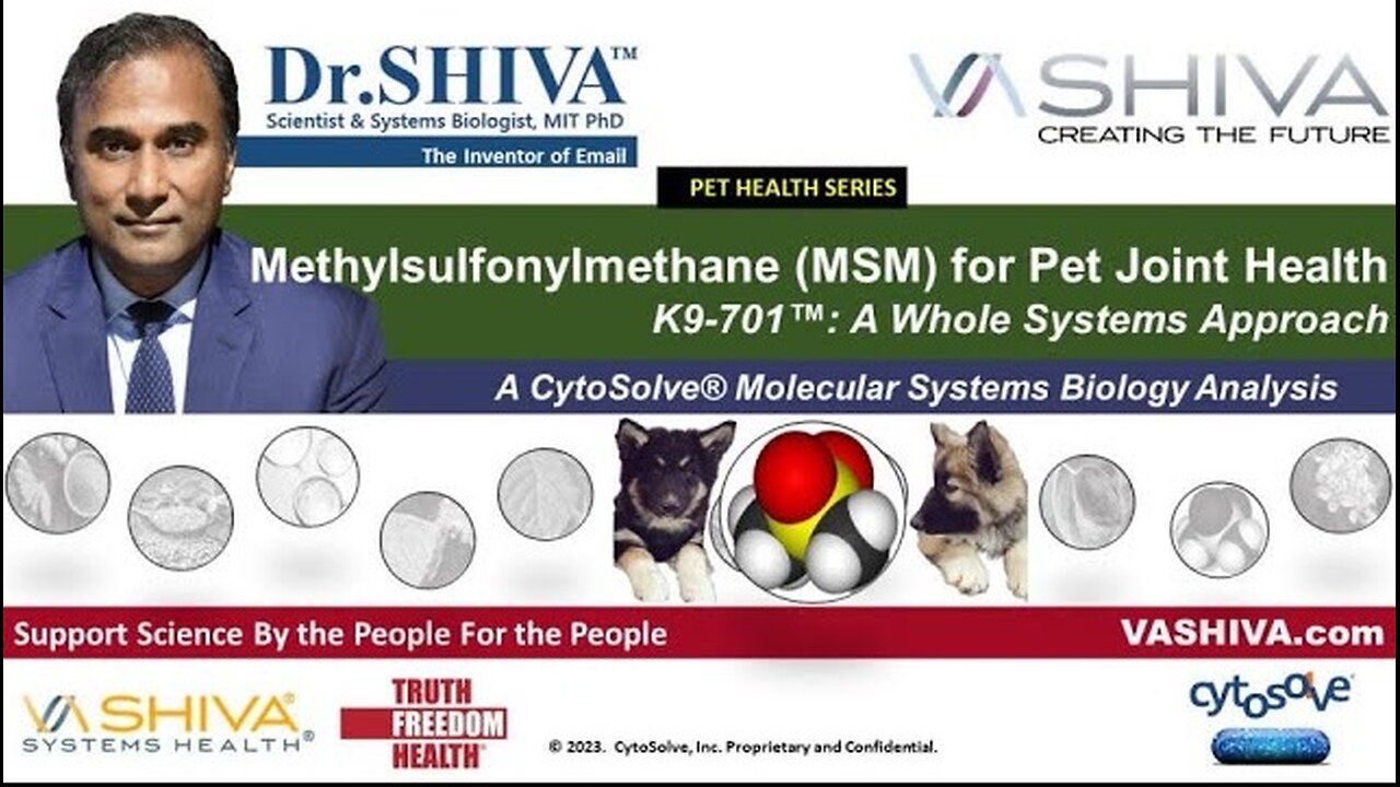 Dr.SHIVA™ LIVE - MSM for Pet Joint Health K9-701™: A Whole Systems Approach