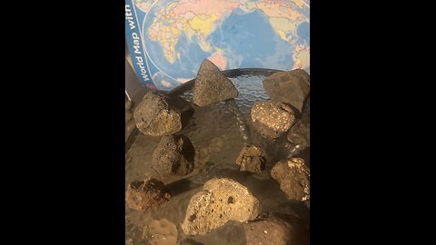 Let’s go check out what the Ancient Civilisation put together.