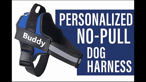 Personalized No-Pull Dog Harness | Adjustable, Reflective & Comfortable – DoxieDay