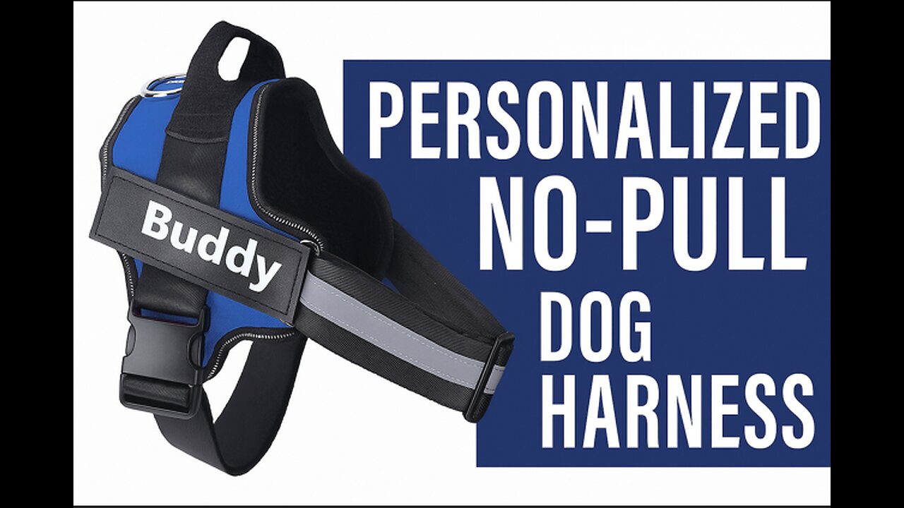 Personalized No-Pull Dog Harness | Adjustable, Reflective & Comfortable – DoxieDay