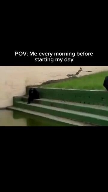 We are the zoo animals 🙊