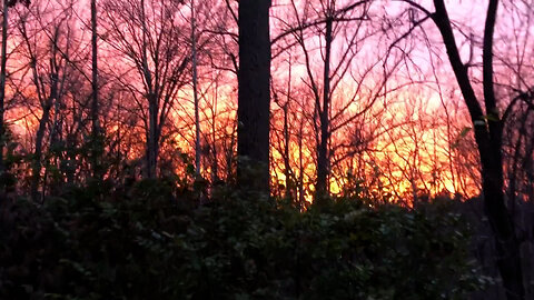 November 27, 2021 - A Gorgeous Sunset in Avon, Indiana