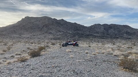 Buggies in the desert