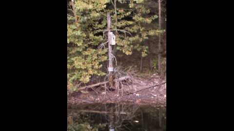 God is good all the time 1476: Can you be a Christian without following Christ?