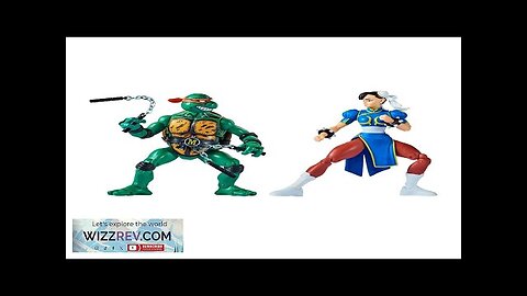 Teenage Mutant Ninja Turtles Vs. Street Fighter: Action Figure 2-Pack: Michaelangelo Vs. Review