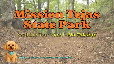 Mission Tejas State Park 🌲 Relaxing Nature Walk | Historic Cabin, Spanish Mission & Hiking