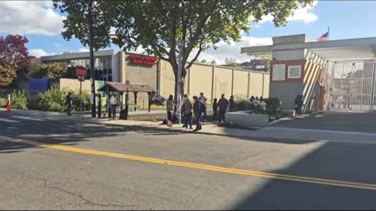 LIVE : Protests & Live Events