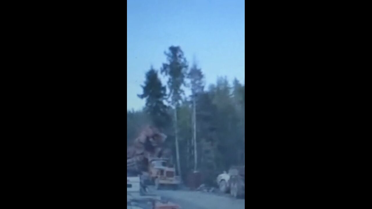 Beyond the logging limits