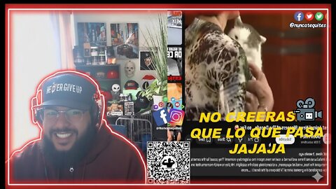 Los errores más ridículos y virales de las noticias sobre animales (que Internet no perdona) 🤪🐾
