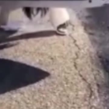 funny funny videos funny names funny animalsfunny funny videos funny names funny animals