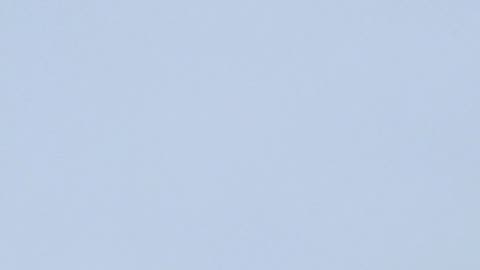 The Winter weather is wild this year ☃️