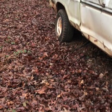 1979 f150 single exhaust 400