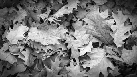 Cruxxx - Lying in a Pile of Fallen Leaves