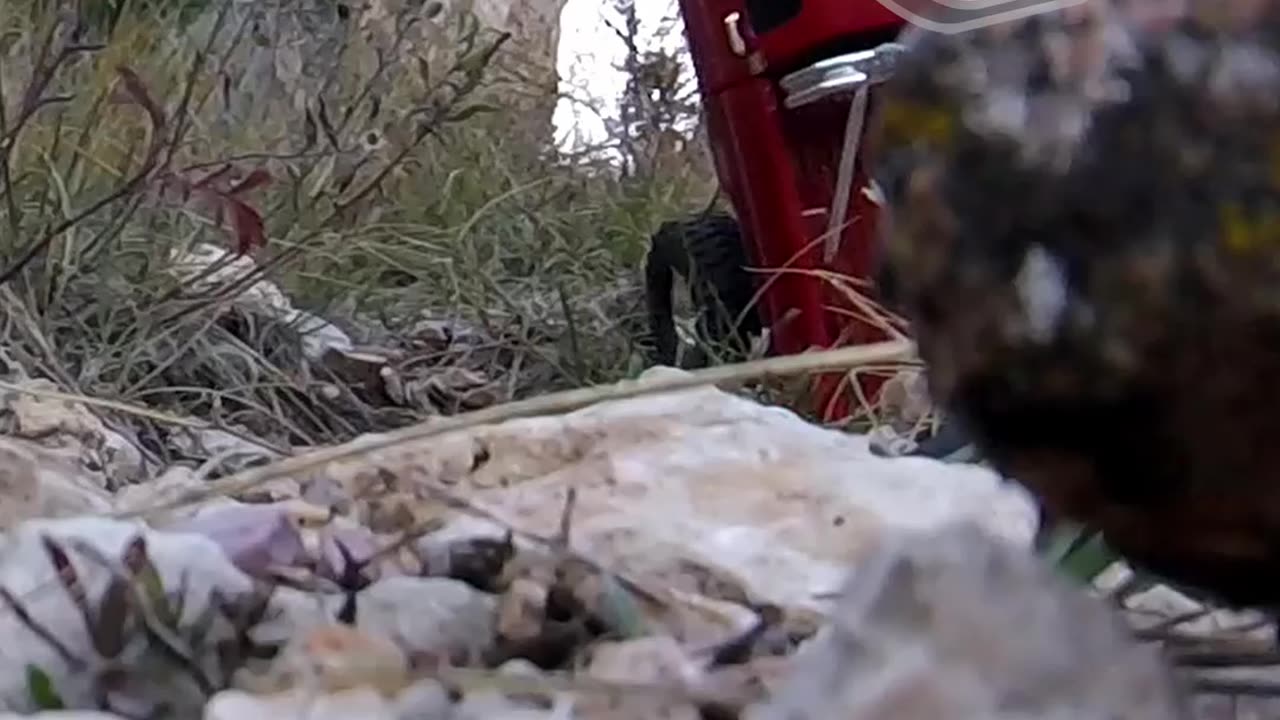 Traxxas TRX4m High Trail 1979 Chevrolet K10 Cheyenne vs GRAVITY! 😲 SUBSCRIBE!