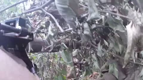 A Whole Mess of Russian Soldiers Who Crawled into the Undergrowth