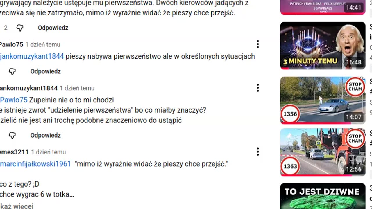 Owieczki drogowe - wzorowa współpraca