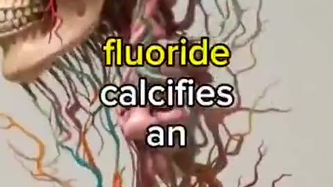 TOOTHPASTE IS MAKING YOU DUMBER ☠ [FLUORIDE IS A CARCINOGEN AND A NEUROTOXIN]