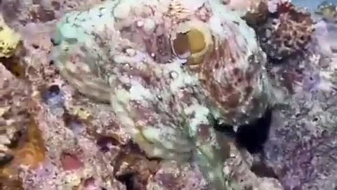 👽🌍 Are We Truly Alone? The Mystery of Life's Origin! | TheTruthAbove