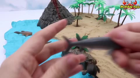 Arrange Stones and Sand to Form an Artificial Beach Inside the House