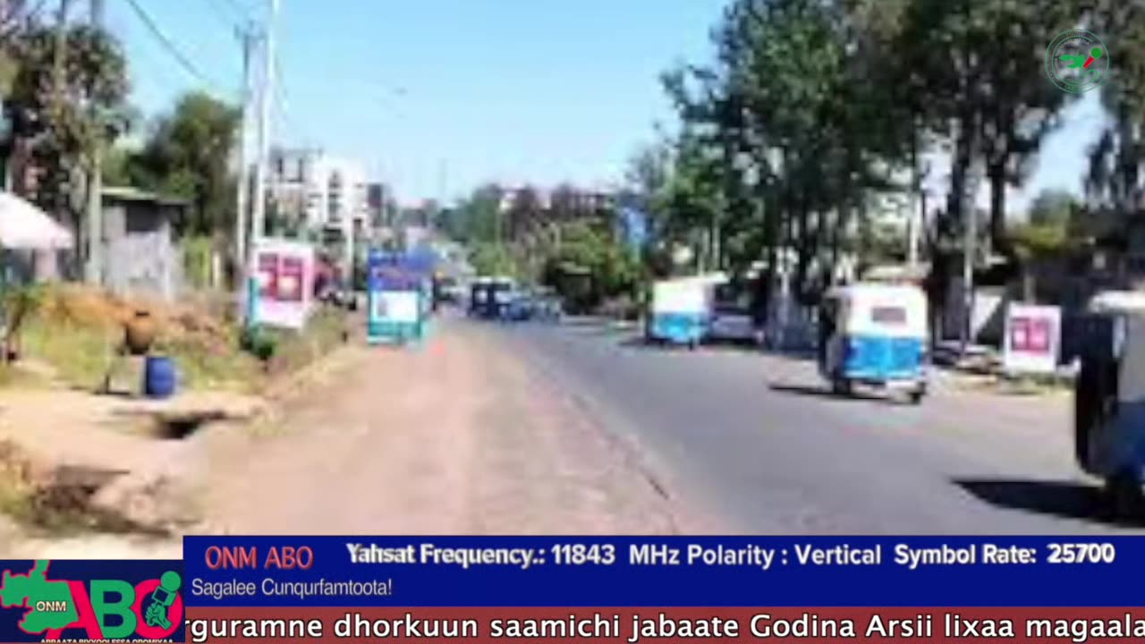Oduu Ganama ONM-ABO Muddee 26-2024 itti dhiyaadhaa!