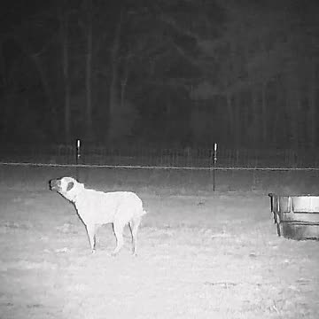 Can You See THIS... At Night???