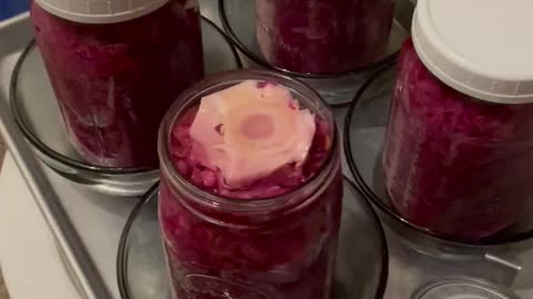 Sauerkraut