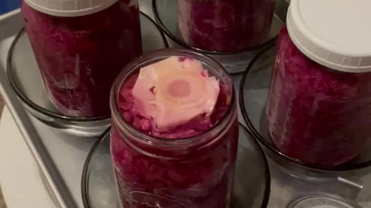 Sauerkraut