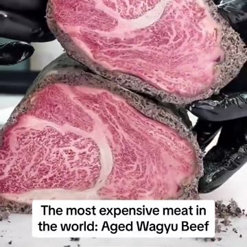The most expensive meat in the world: Aged Wagyu beef $3200 /lb