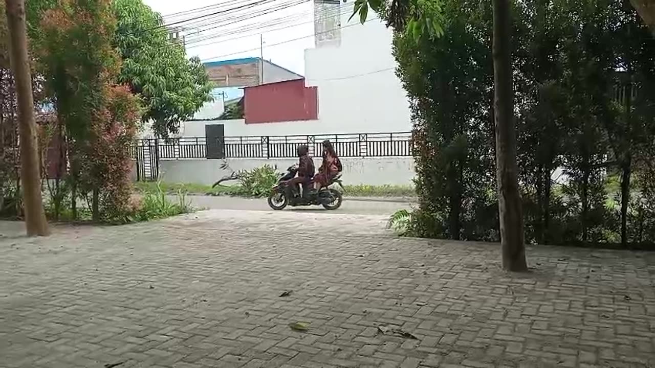 Peaceful Street View from My Front Yard