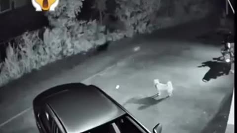 😱🔥 Poltergeist Forces Rage in Haunted Location | TheHauntingHour