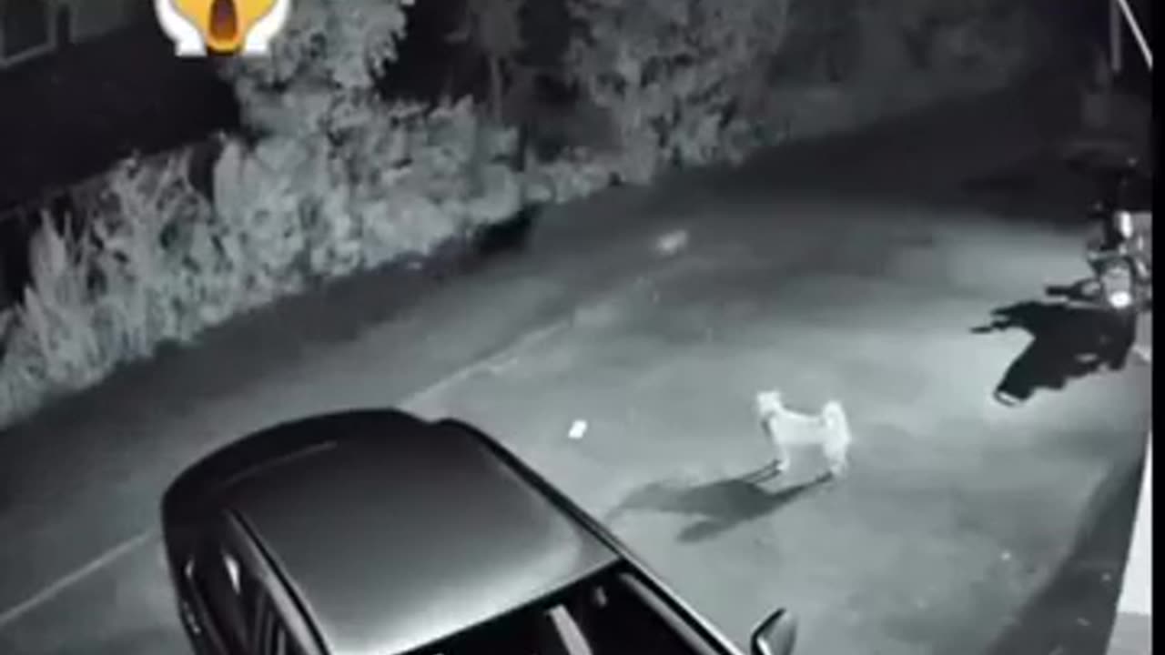 😱🔥 Poltergeist Forces Rage in Haunted Location | TheHauntingHour